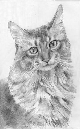 Cosmo - January 2009