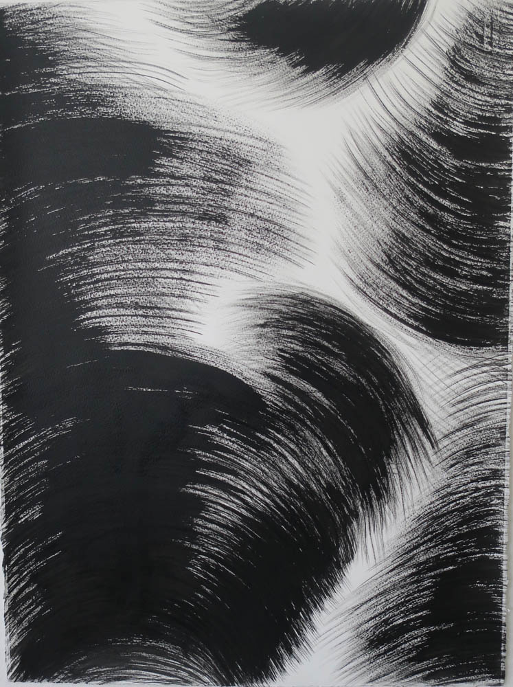 shadows on the move 2  22 x 30