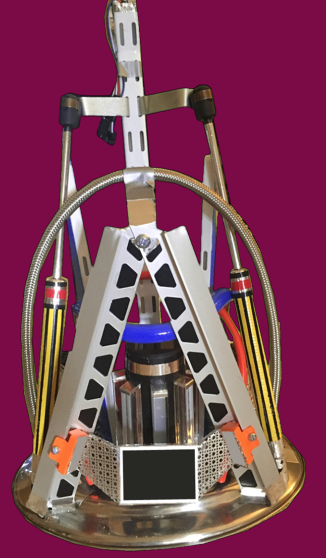 Kolander Images - Lucia Build - Abdomen Internals (front)