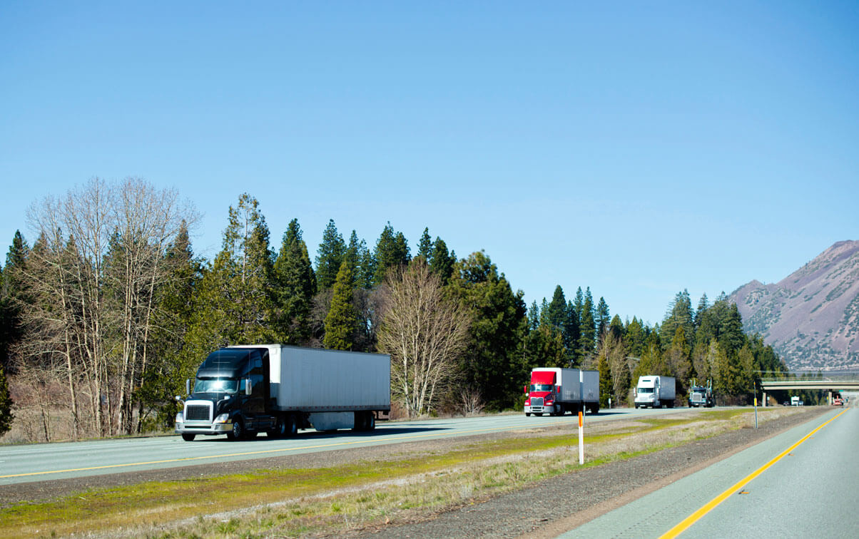 Transportes Terrestres Máxima S.A. de C.V. - Camiones de Cinco y Seis Ejes