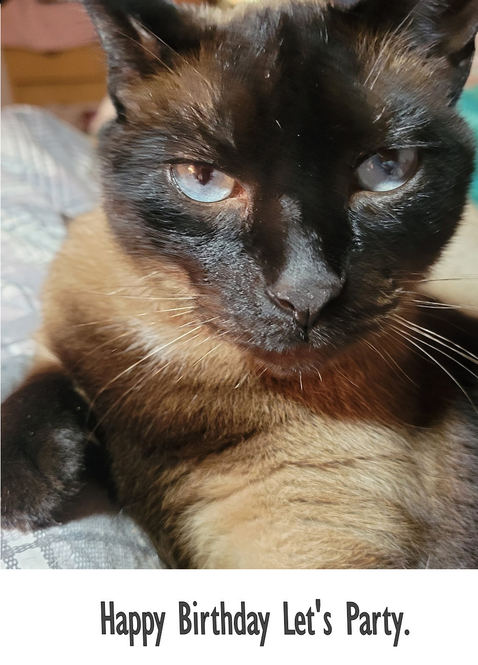 Happy Birthday Let's Party