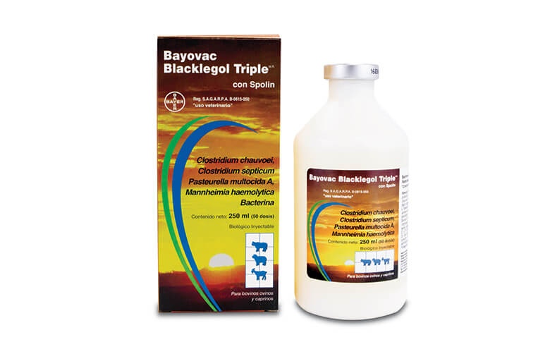 https://0201.nccdn.net/1_2/000/000/163/f49/Bayovac-Blacklegol-triple-780x502.jpg