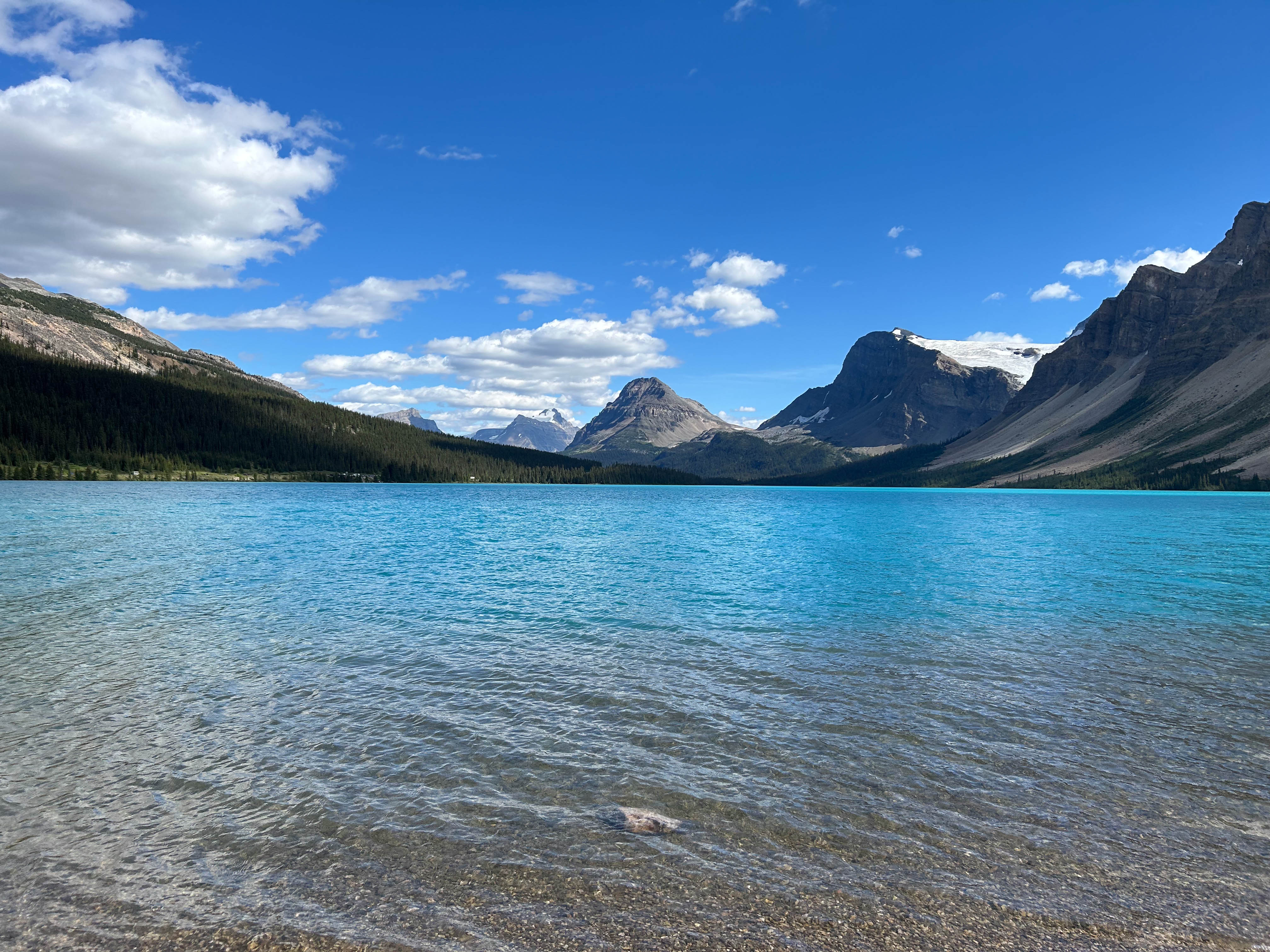 https://0201.nccdn.net/1_2/000/000/163/f65/calgary-order-221.jpg