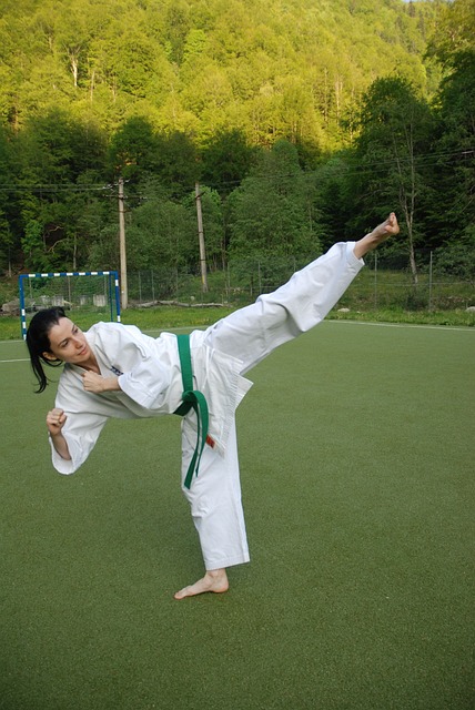 https://0201.nccdn.net/1_2/000/000/164/5db/karate-511911_640.jpg