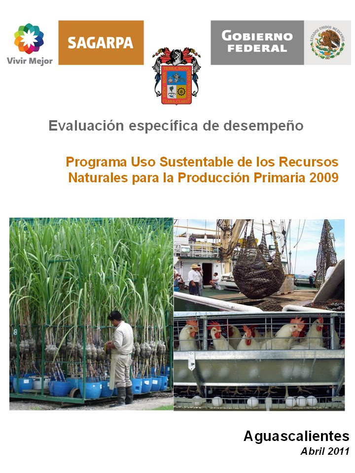 Evaluación específica de desempeño. Programa Uso Sustentable de los Recursos Naturales para la Producción Primaria 2009