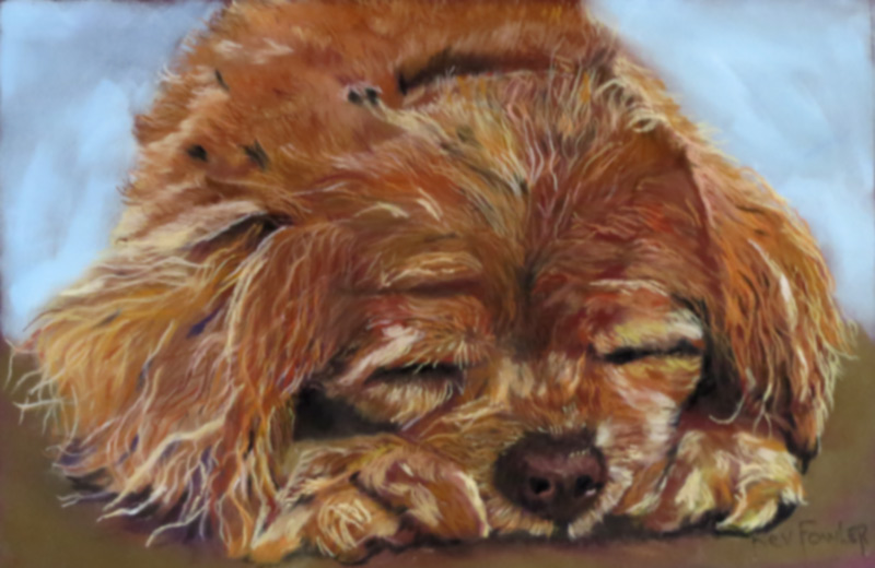 Charlie - Sold