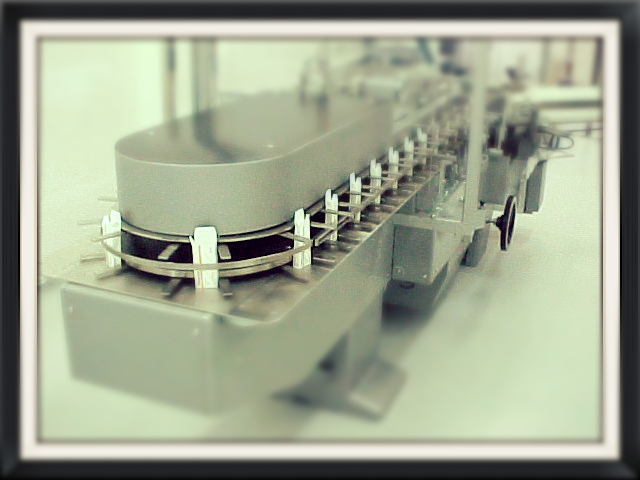 Calificación de Sistemas