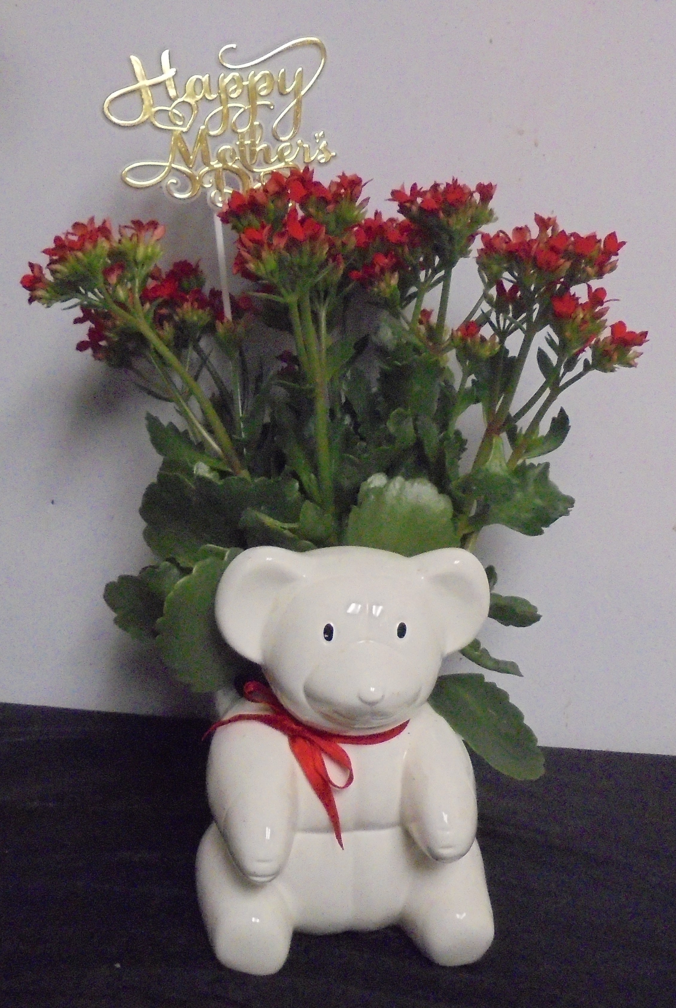 (21)  "Red" Kalanchoe Plant
In Bear Planter
$35.00