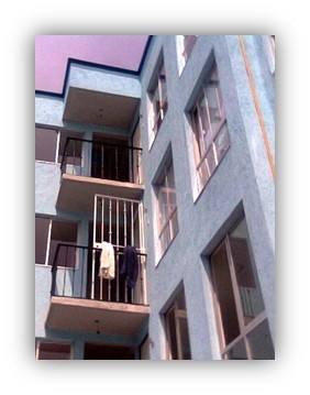 HIDALGO No. 129 
No. DE  VIVIENDAS 16
