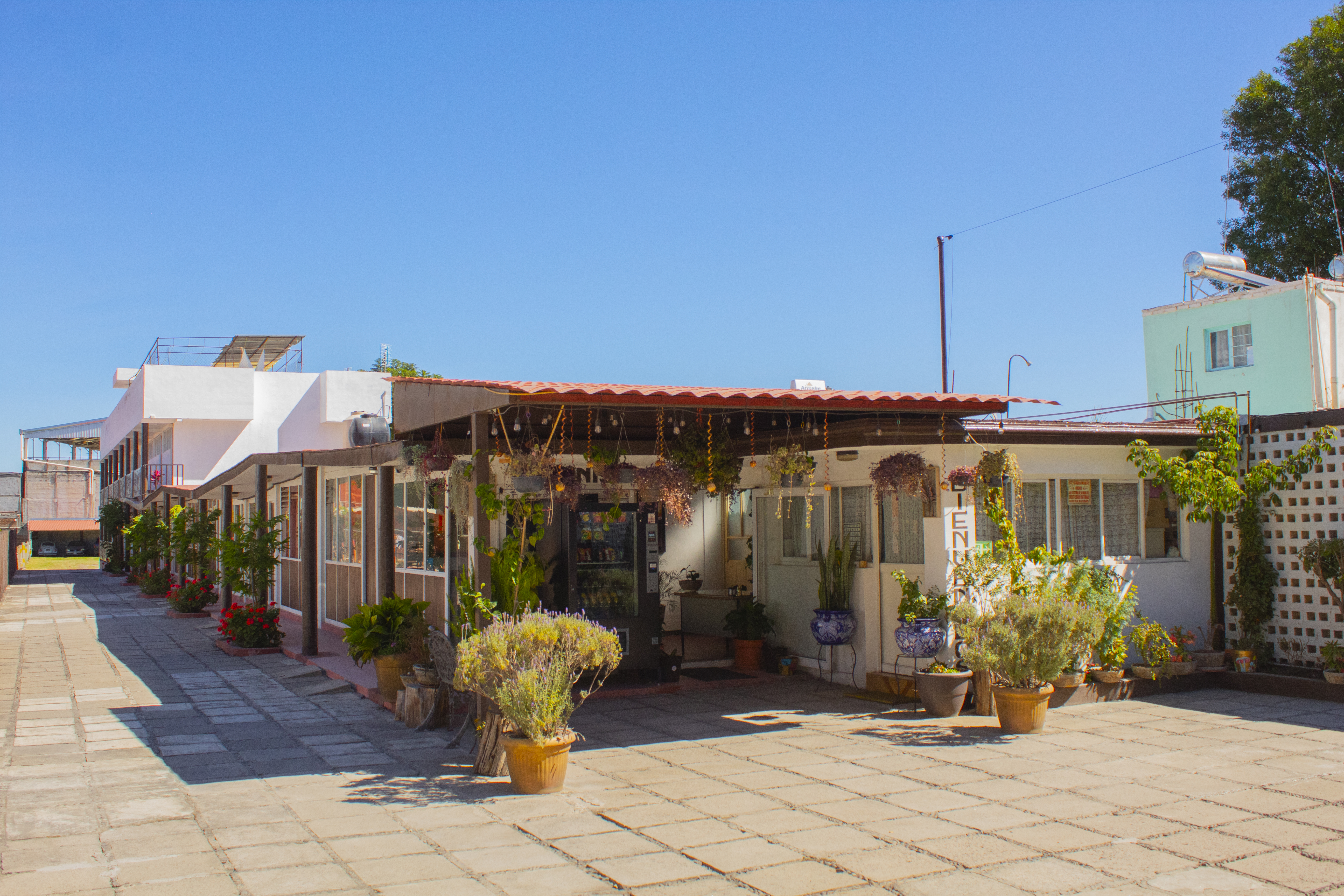 Hotel de día con sus recepción y dos pisos de habitaciones