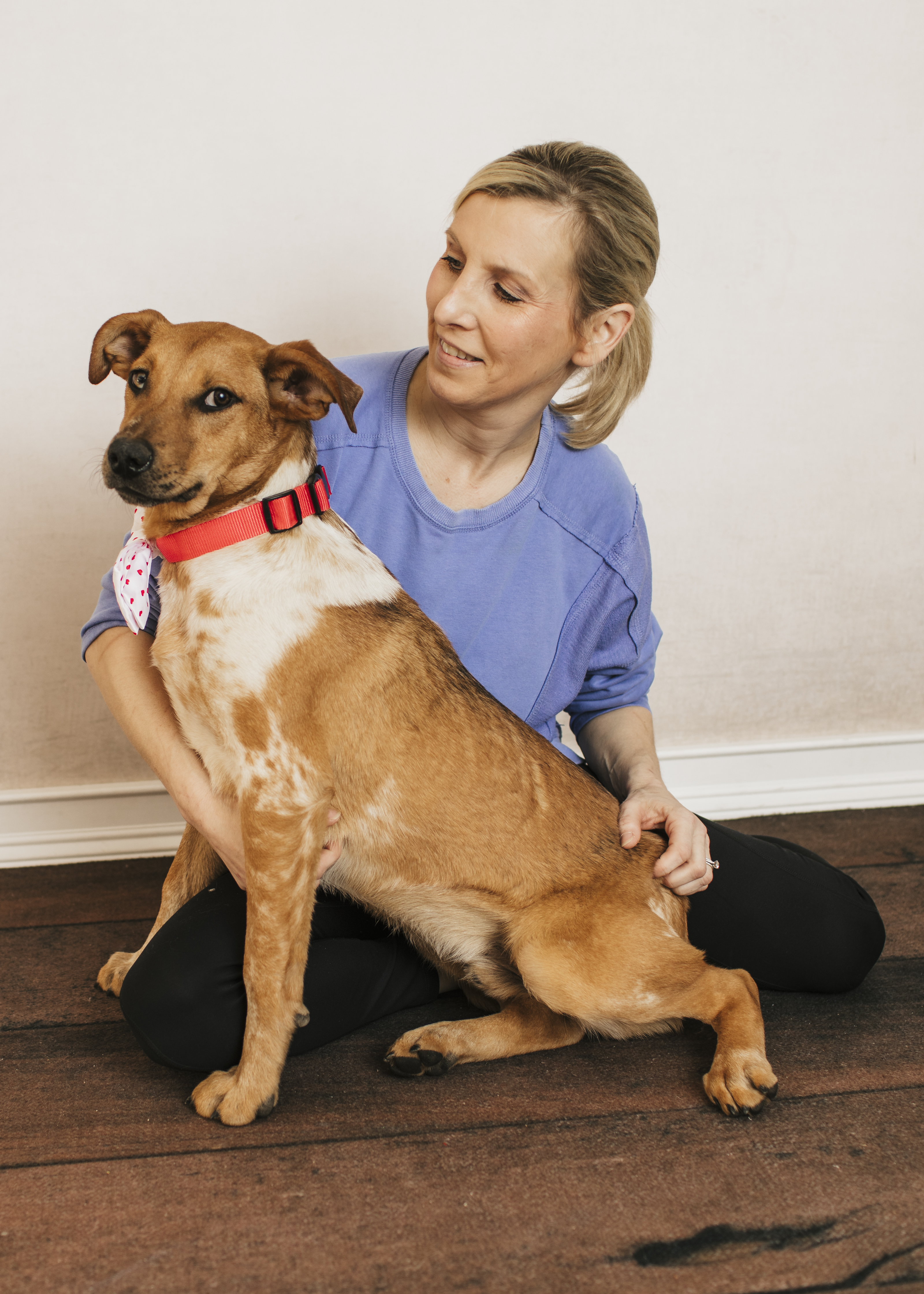 A woman with a large brown dog sitting on her lap