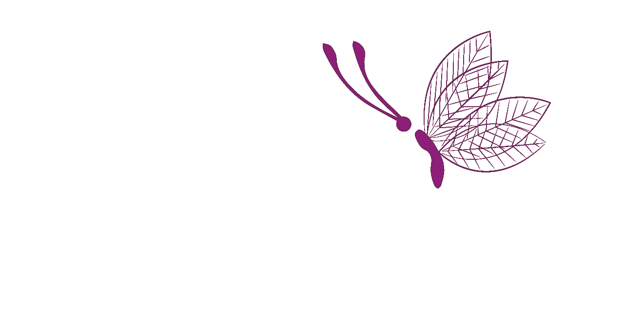 quipiverificaciones