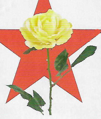 Yellow Open Rose Stem - Item # DHTC18980
24" tall. Packed 12.