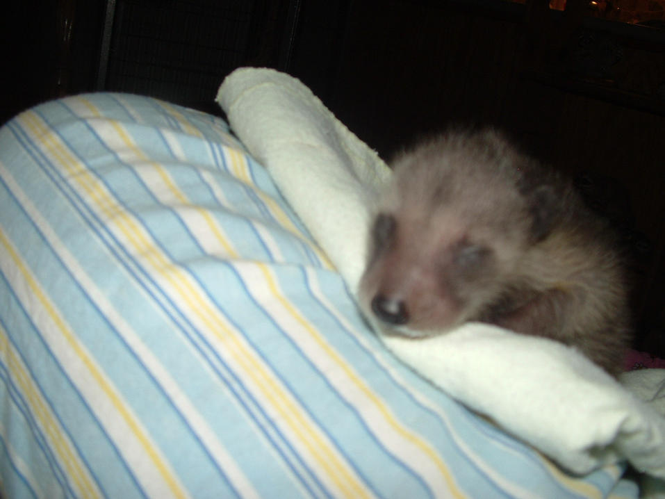 I get way cuter than this