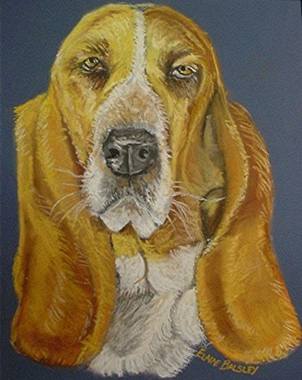 Sparky, Pastel on Paper, Framed