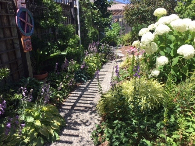 Santa Cruz Shady Path 1