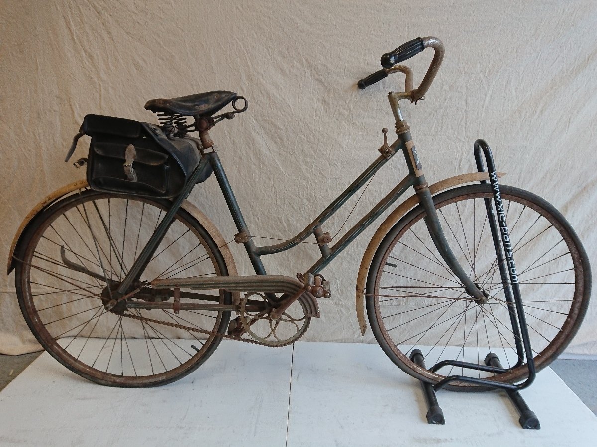 Firestone 
New Departure 2 Speed
$599.00