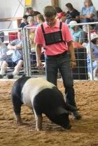 Andrew Thompson: Class Winner
2015 Henry County Fair