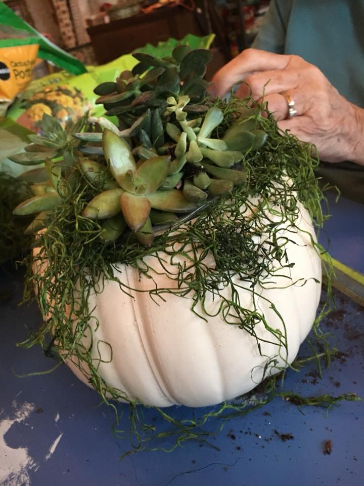 Pumpkin Art 2