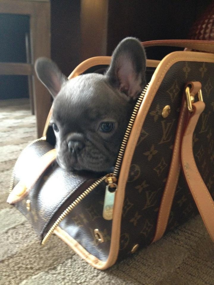https://0201.nccdn.net/1_2/000/000/167/e46/Caviar-Baby-720x960.jpg