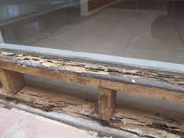 Termite Damage