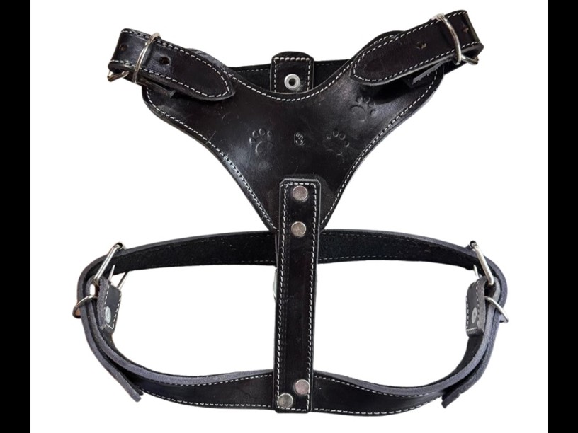 PC03 PECHERA PIEL MEDIANA 
COSCO GDE COLORES