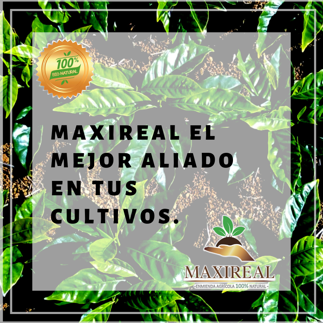 https://0201.nccdn.net/1_2/000/000/168/72d/Sierra-F--rtil-siempre-tu-mejor-aliado-en-tus-cultivos.-Utilizalo-siempre-en-tus---rboles--flores--jard--n-y-c--sped-1080x1080.jpg