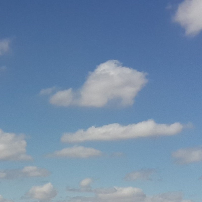 "We couldn't have done it without you."