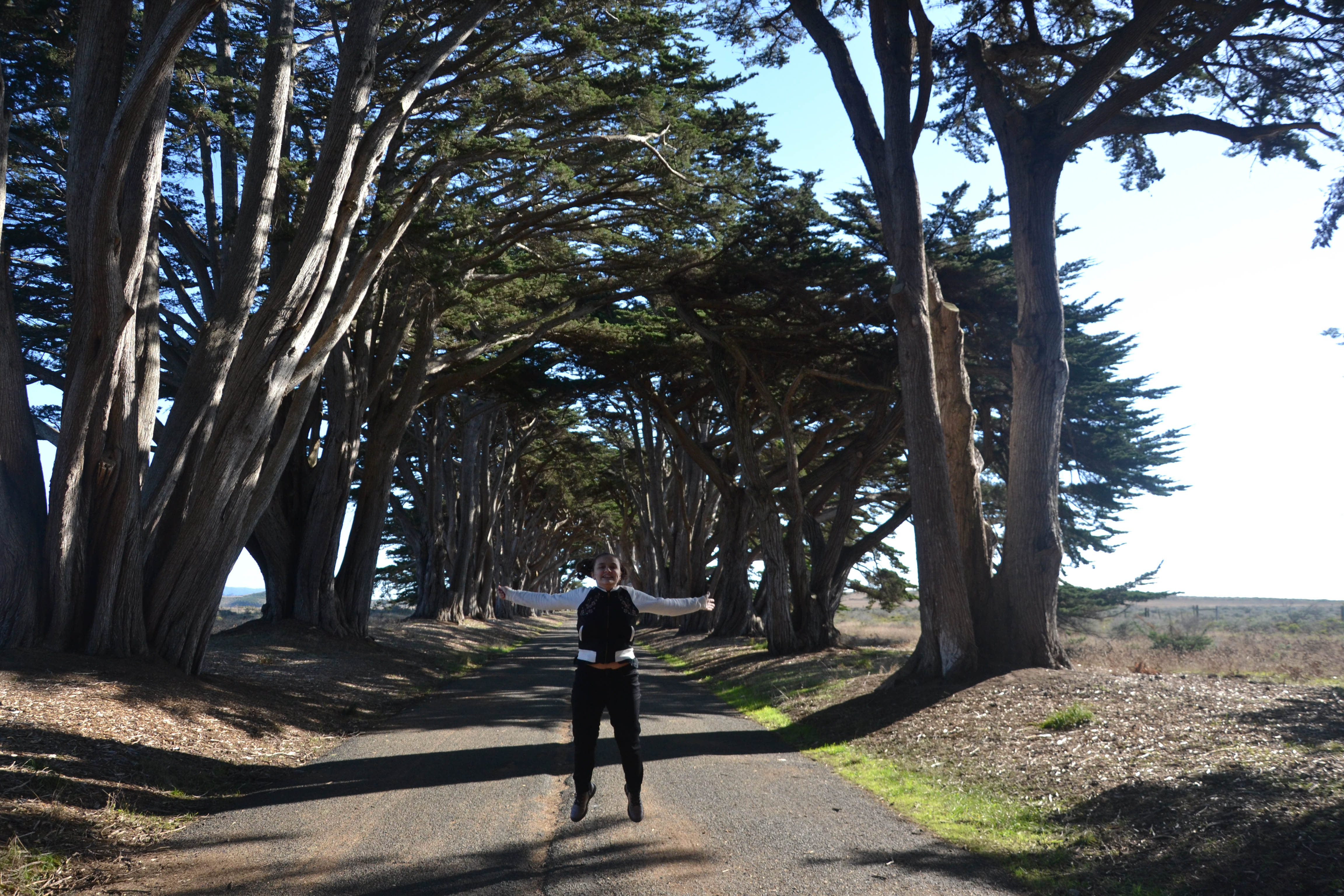 https://0201.nccdn.net/1_2/000/000/168/8c1/san-fran-order-2-103.jpg