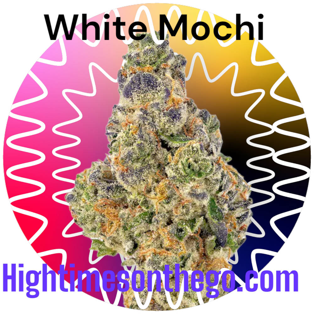 https://0201.nccdn.net/1_2/000/000/168/c58/white-mochi_.jpg