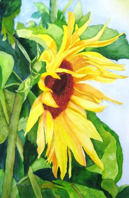 A-Sunflower-for-Missy