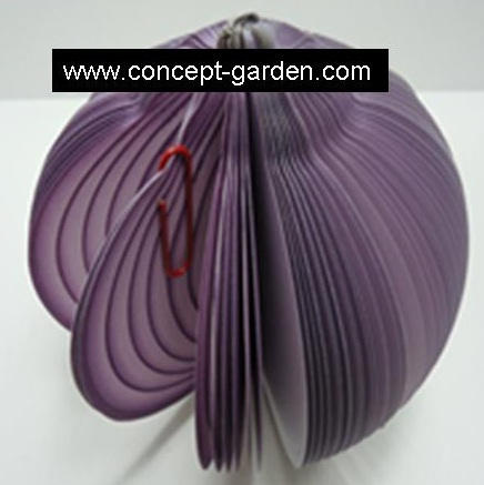 CG2012010 Purple Onion Memo