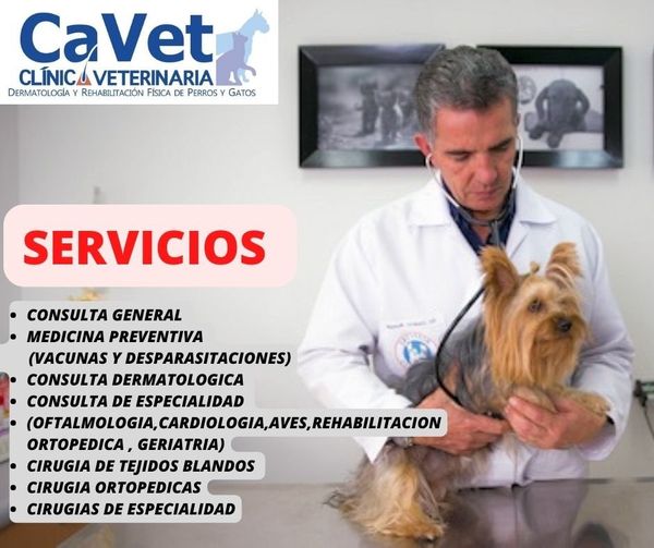CAVET - Consulta veterinaria