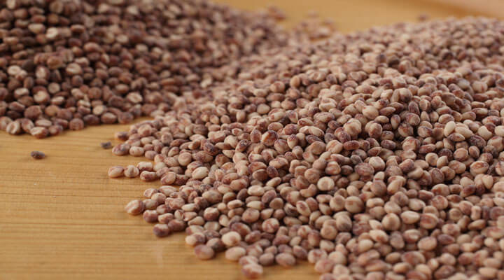 Geyser - MANEJAMOS PRODUCTOS DE CALIDAD