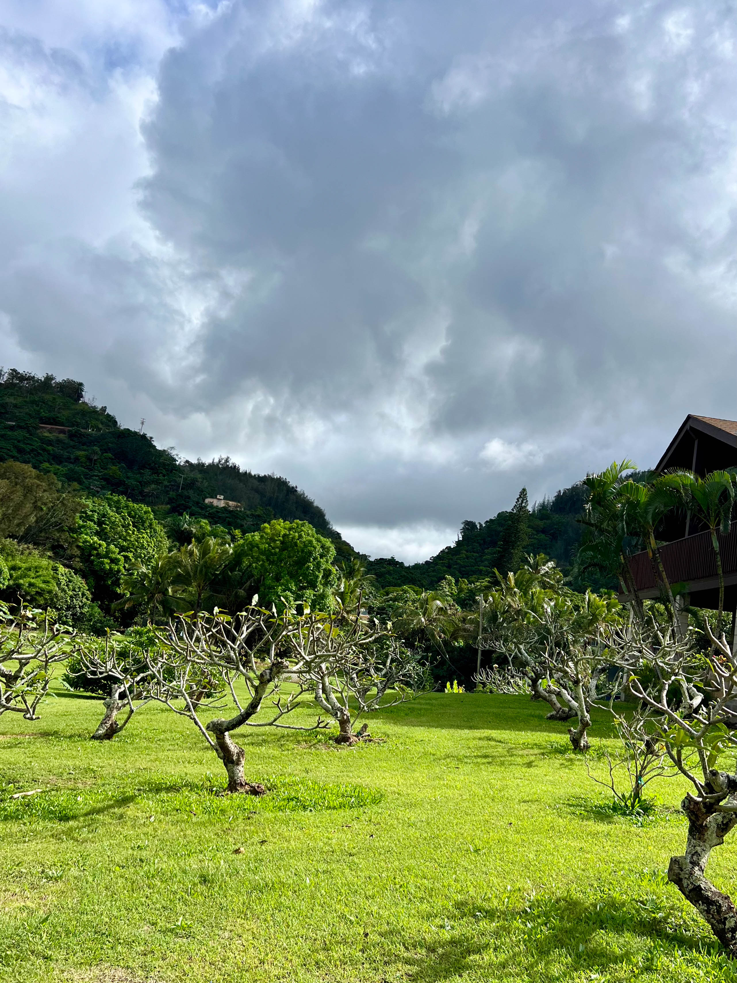 https://0201.nccdn.net/1_2/000/000/16a/9a8/hawaii-order-59.jpg
