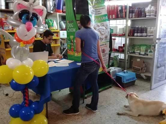 Forrajera y Veterinaria "Ortiz" - VENTA DE MASCOTAS