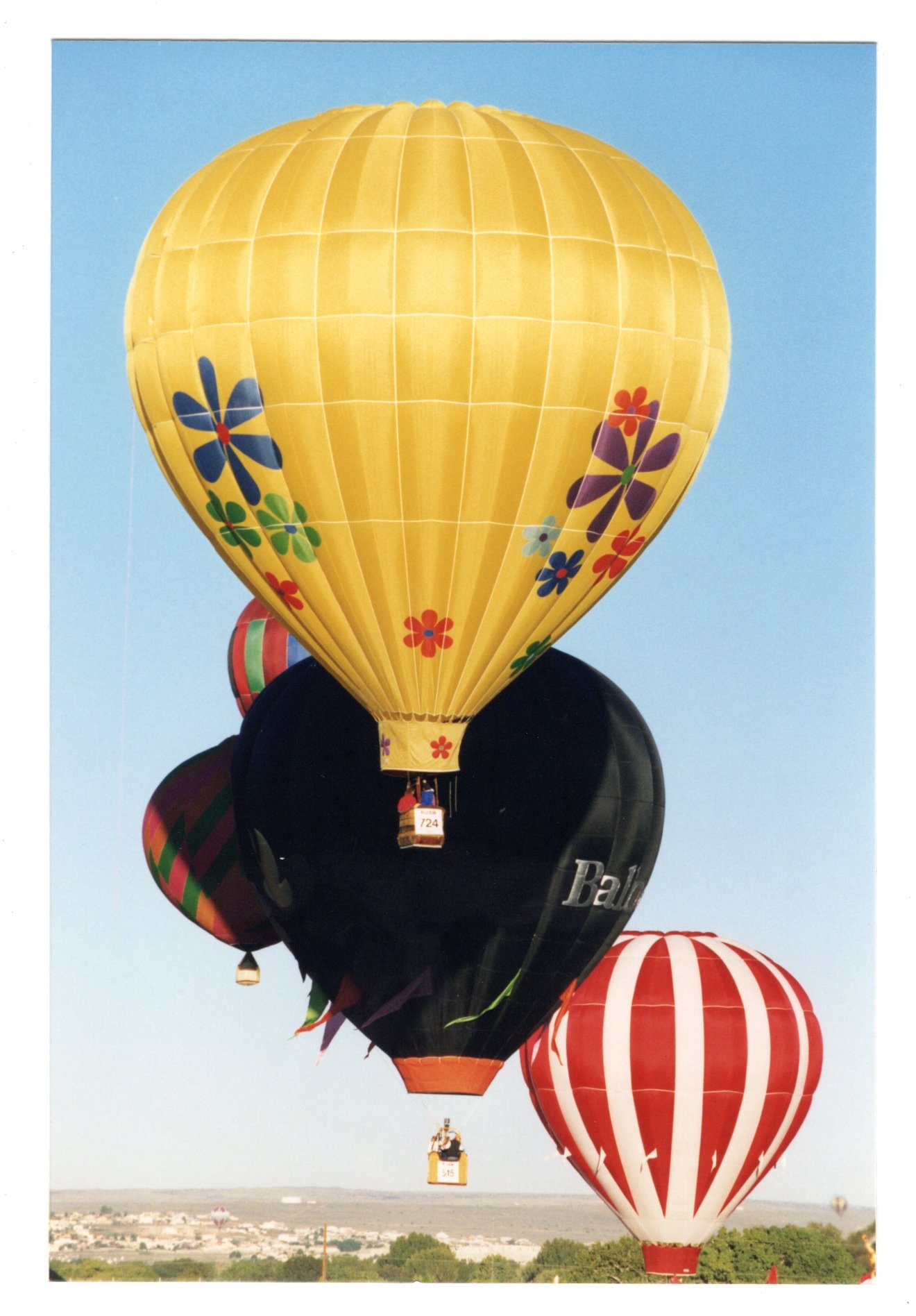 https://0201.nccdn.net/1_2/000/000/16a/c18/hot-air-balloons--19--1320x1896.jpg