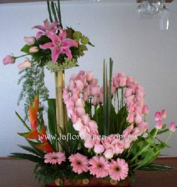 LFA-OT015
Precio $2,990