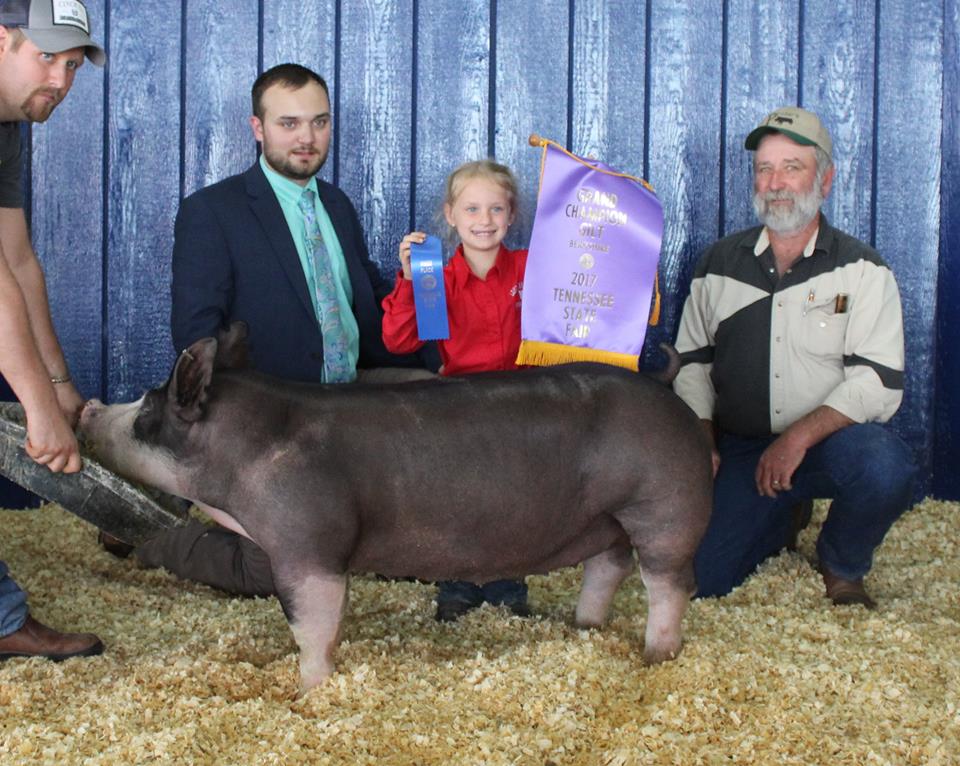 Laine Vinson
2017 Tennessee State Fair
Champion Berkshire Gilt