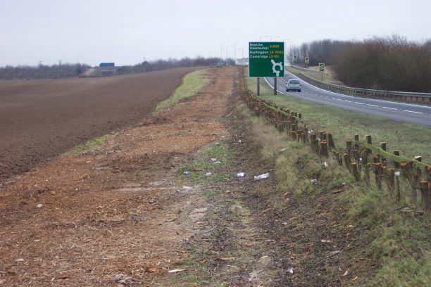 Tree Works - Hertfordshire
