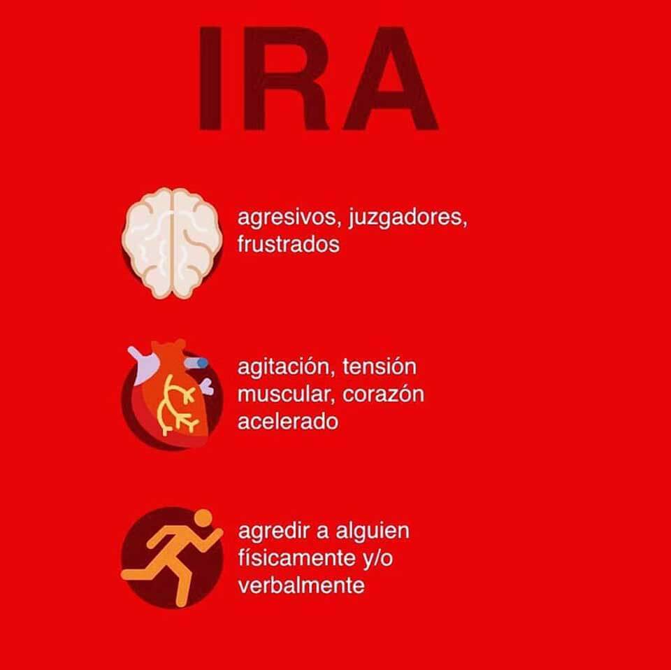 Clínica Misión del Sol S.A. de C.V. - IRA