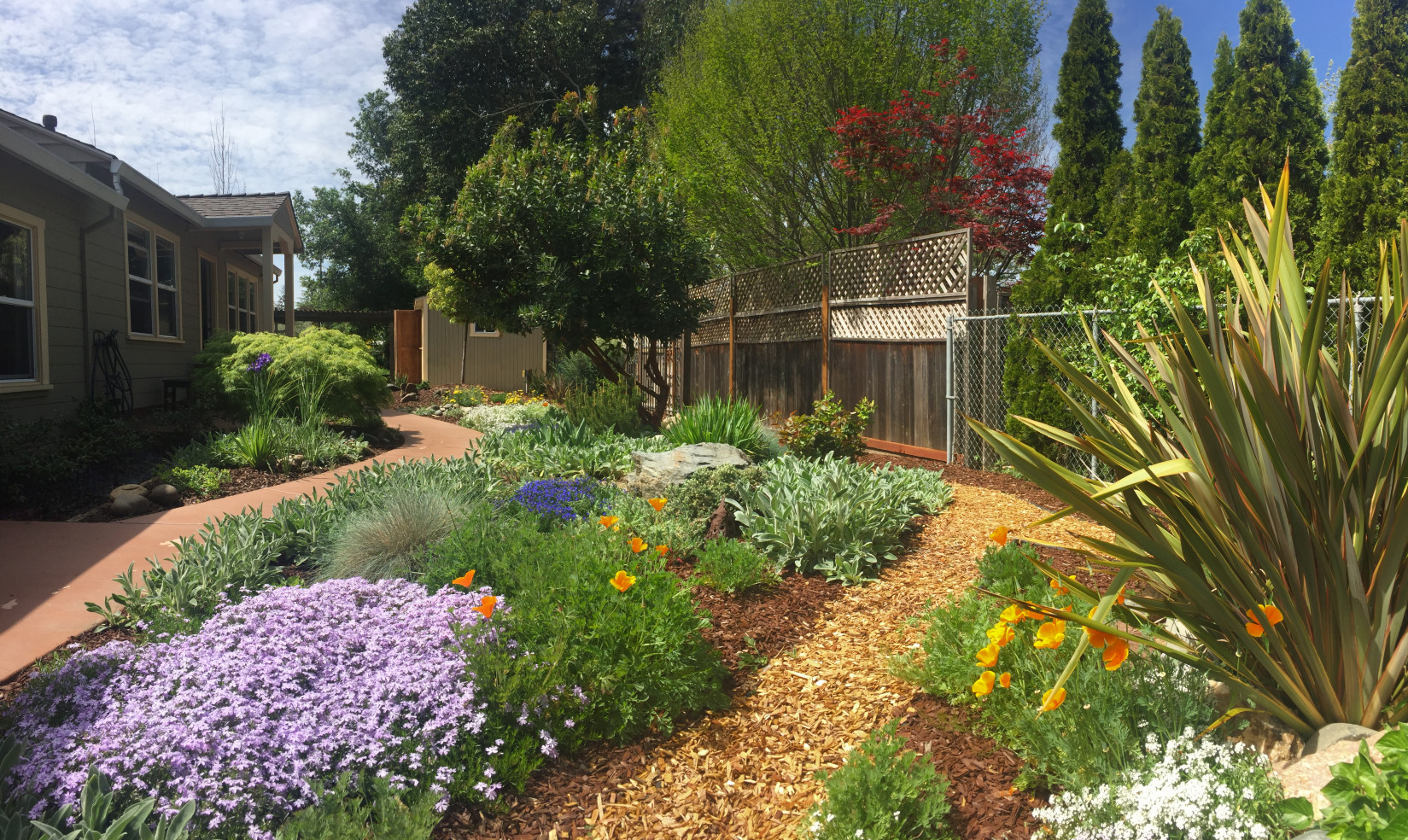 Do you prefer swaths of color low to the ground with no space between the plants?
