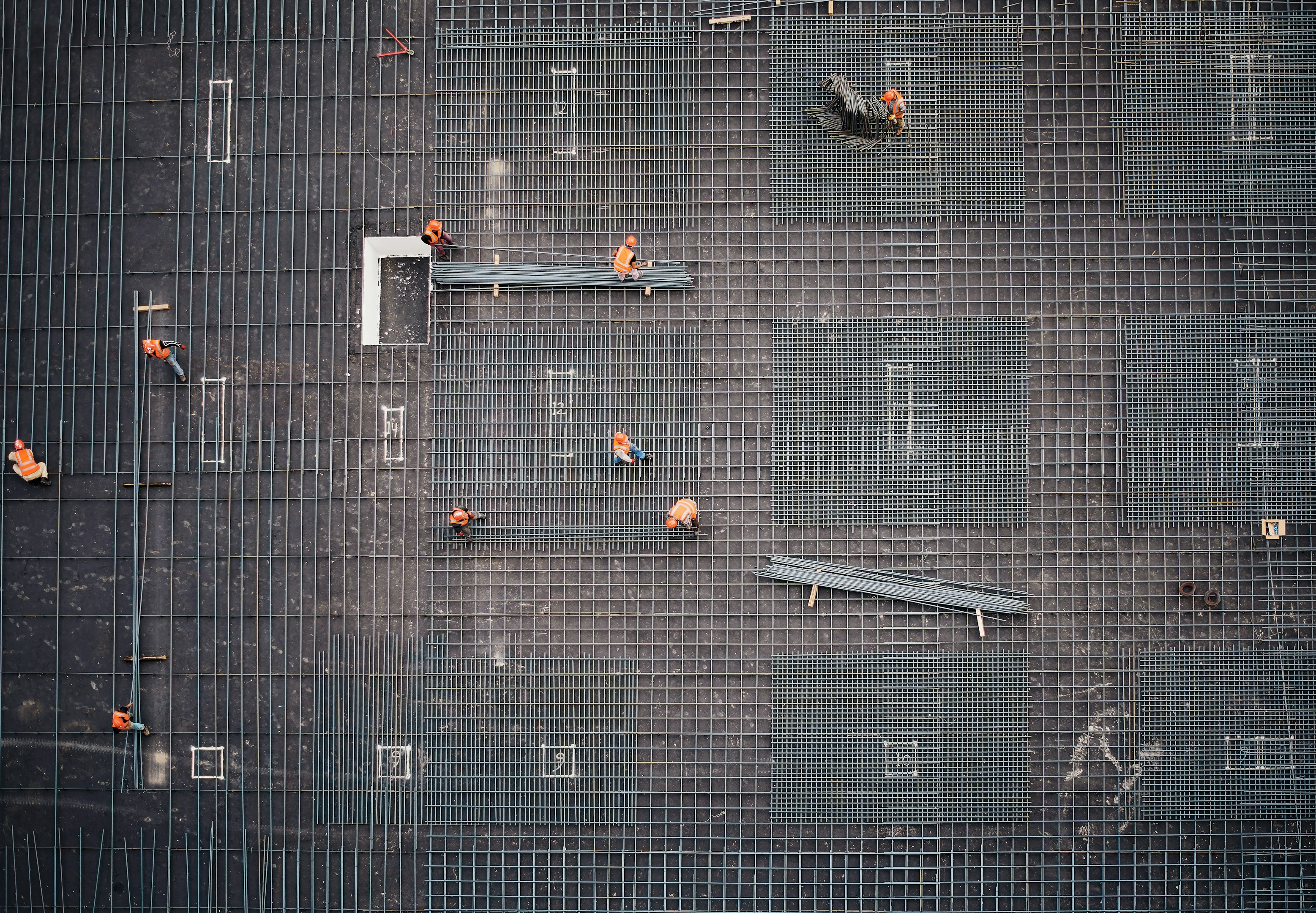 aerial photo of people in park at daytime