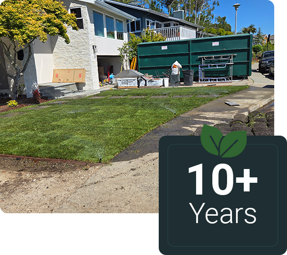 Residential Front Yard