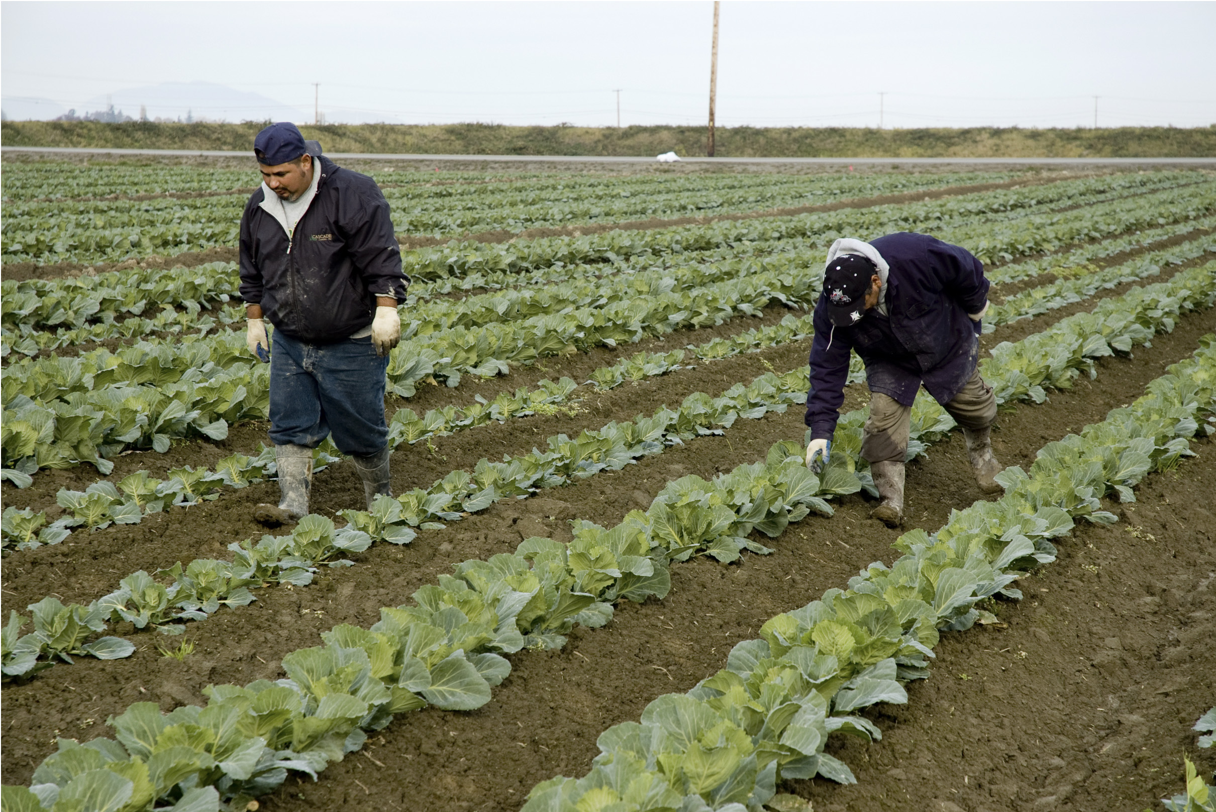 https://0201.nccdn.net/1_2/000/000/16b/771/guys-in-field.jpg