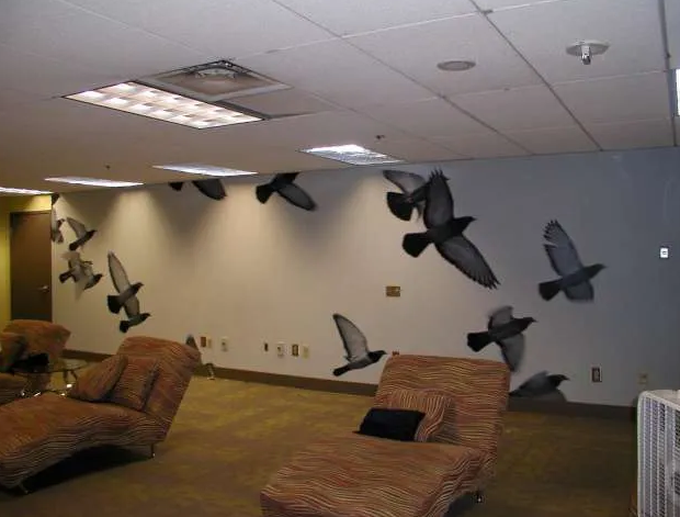 DELTA AIR
Digital Wallcoverings Murals