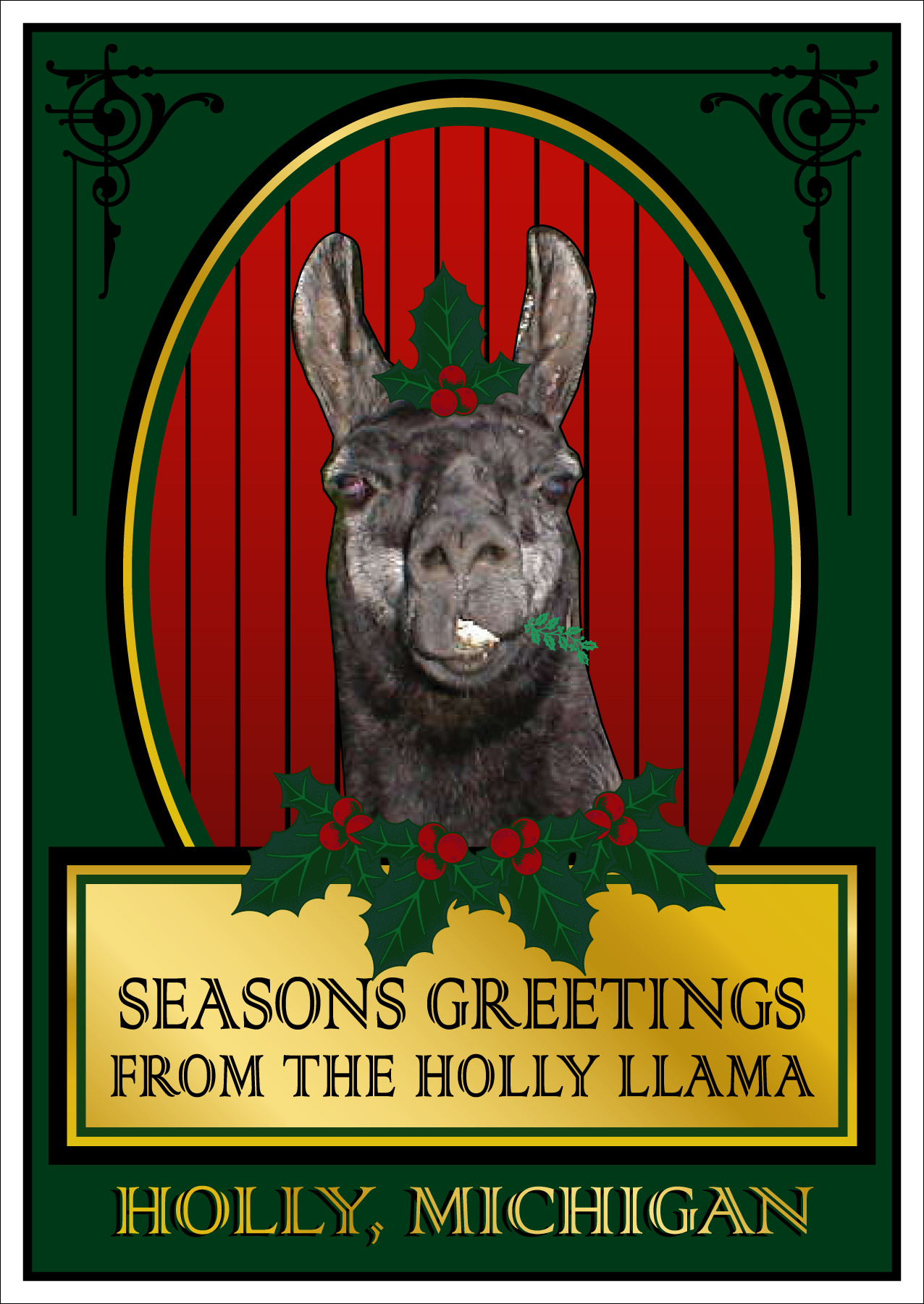 https://0201.nccdn.net/1_2/000/000/16c/21e/HollyLlamaPostcard-v2-1276x1801.jpg
