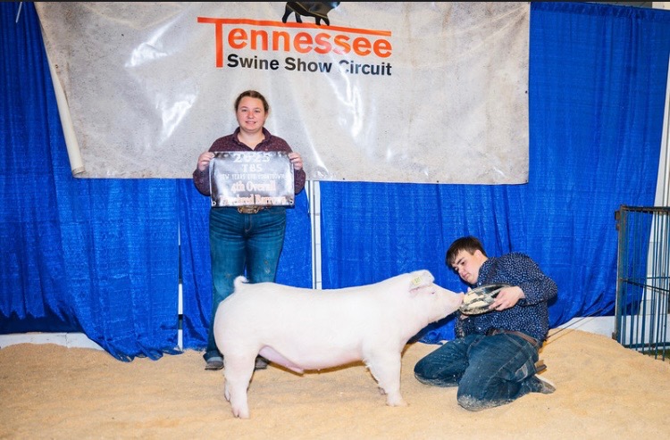 Abigail Henry
2025 TBS New Year's Eve Countdown 
Reserve Champion Chester Barrow
4th Overall Purebred Barrow
4th Overall Supreme Barrow