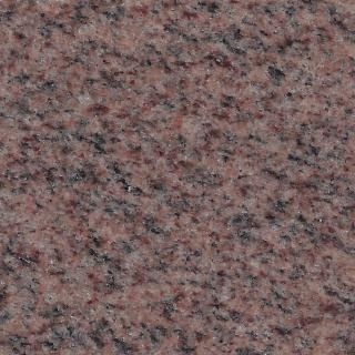 Canadian Pink - 6