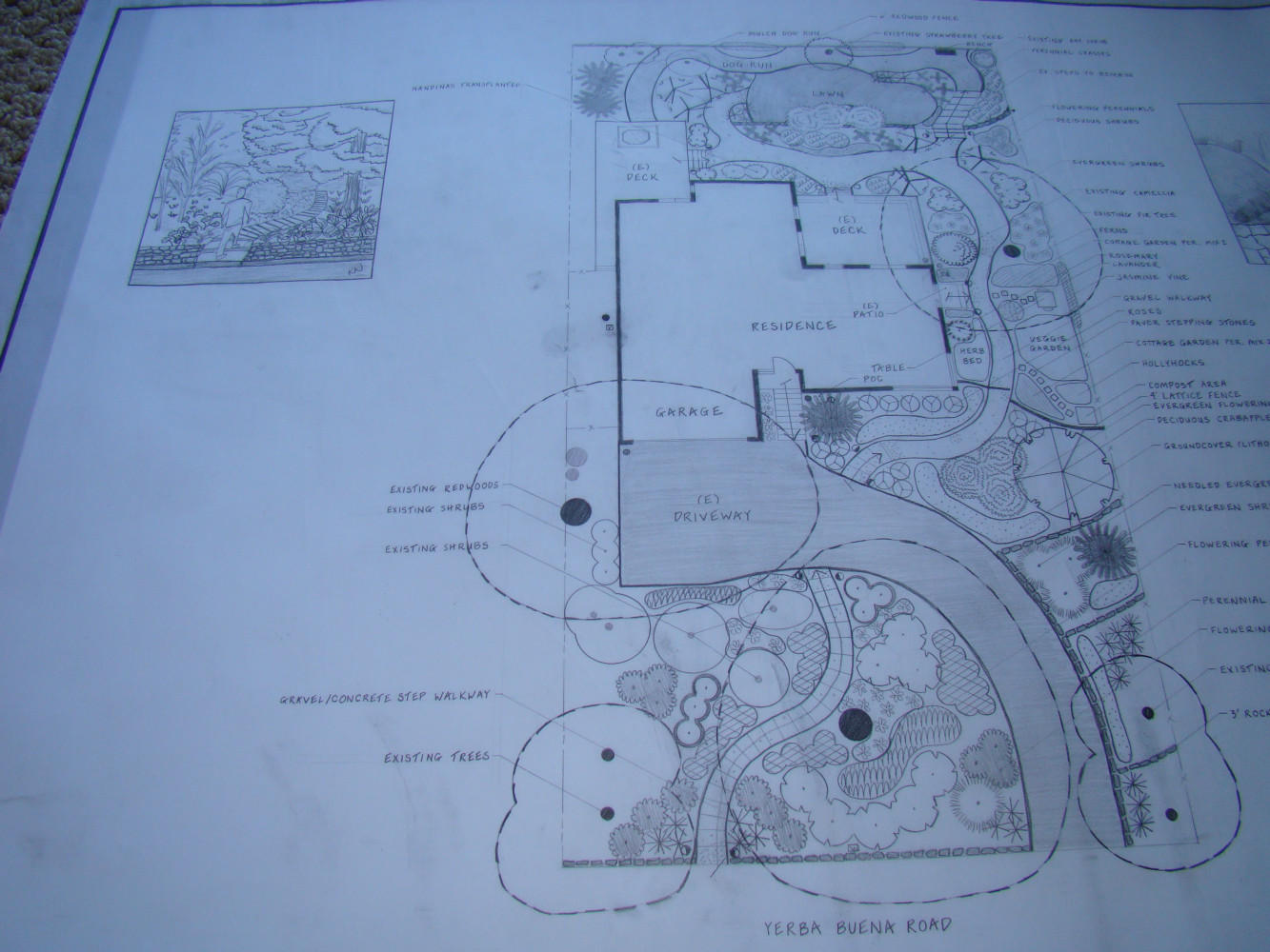 Design for a Redwood and steep-sloped garden with a cottage garden sitting area